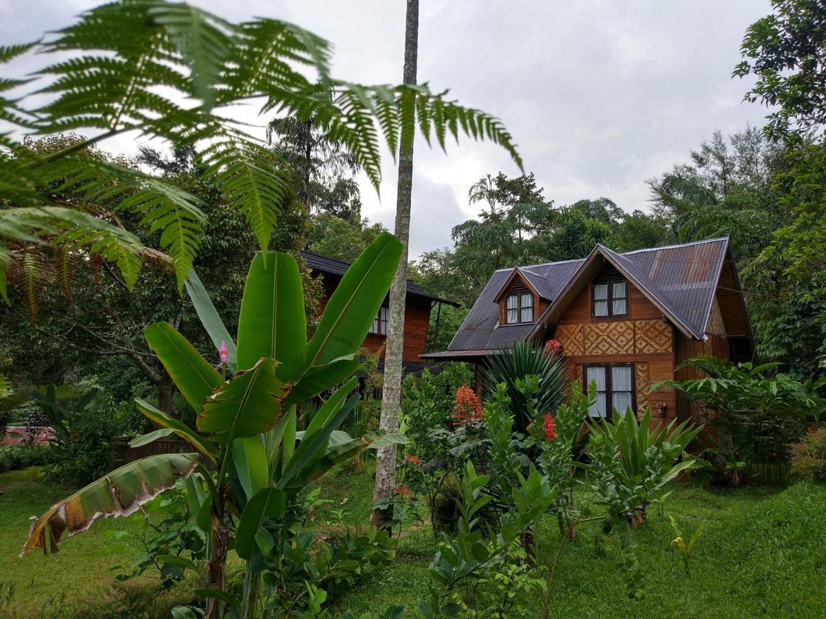 Canyon Jungle Stay Bukittinggi Exterior foto